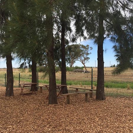 Aussie Cabins Otel Dubbo Dış mekan fotoğraf