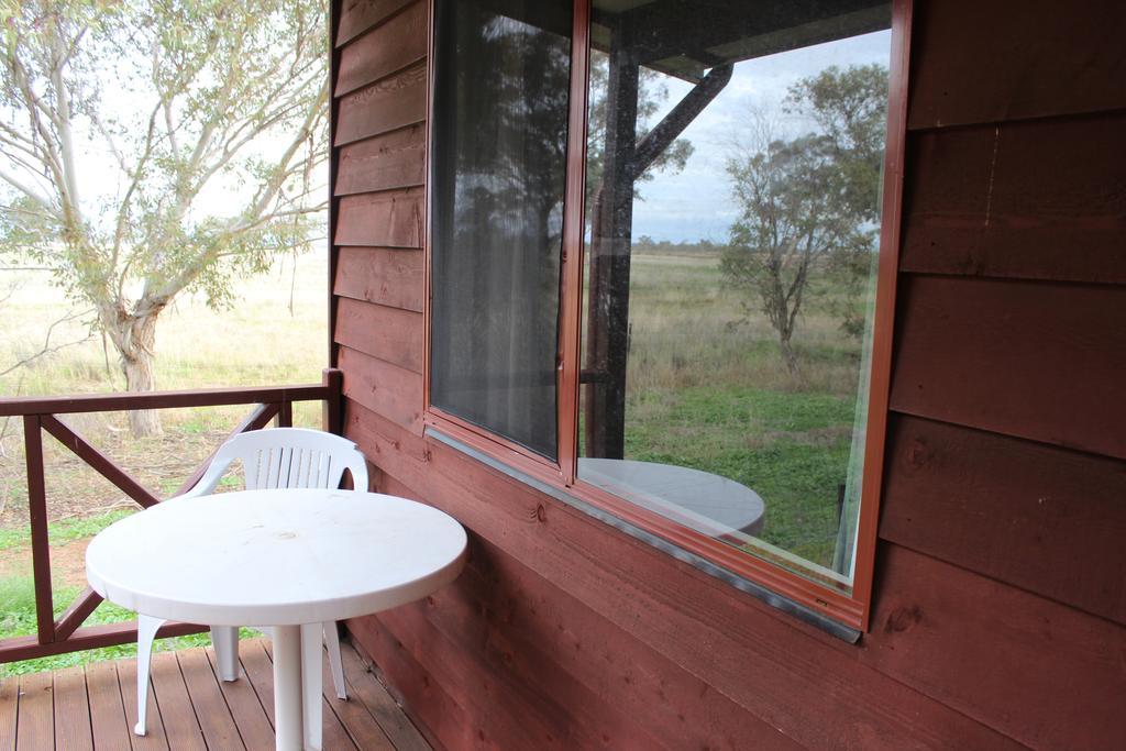 Aussie Cabins Otel Dubbo Oda fotoğraf